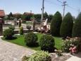 Pensiunea-laura - Cazare in Sanmartin - 