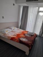 Cazare in Baile Felix - PENSIUNEA MARIO - Baile Felix - click aici, pentru marirea pozei