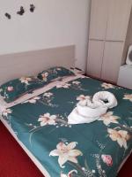 Cazare in Baile Felix - PENSIUNEA MARIO - Baile Felix - click aici, pentru marirea pozei
