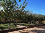 Cazare in Baile Felix - APARTAMENT FAMILY - Baile Felix - click aici, pentru marirea pozei