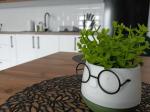 Cazare in Baile Felix - APARTAMENT STEFAN - Baile Felix - click aici, pentru marirea pozei