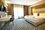 Cazare in Baile Felix - PENSIUNEA  PALACE - Baile Felix - click aici, pentru marirea pozei