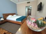 Cazare in Baile Felix - PENSIUNEA  ANTHIMOS - Baile Felix - click aici, pentru marirea pozei